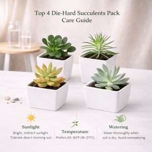 Top 4 Die-Hard Succulents Pack by Lusherra